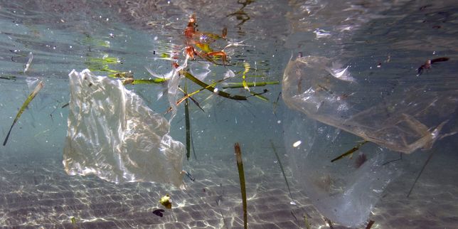 Chaque année, 11 200 tonnes de déchets plastiques français contaminent la Méditerranée