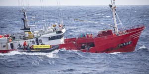 Pour dénoncer la déforestation, Greenpeace bloque l’arrivée d’un bateau chargé de soja à Sète