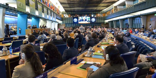 Favorite pour la présidence de la FAO, la candidate française serait favorable aux OGM et aux biotechnologies