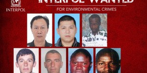 Interpol lance une traque mondiale pour arrêter des fugitifs poursuivis pour crimes d’écocide