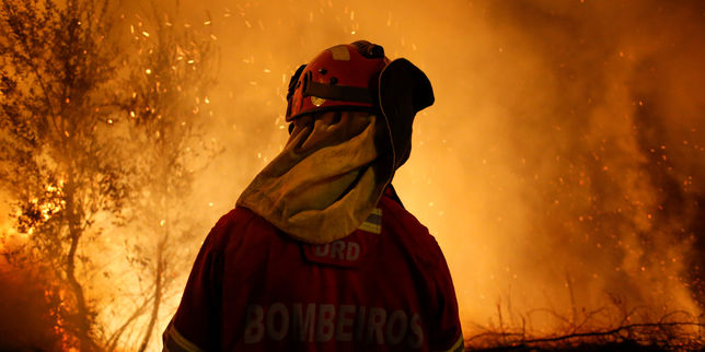 Plus de 900 pompiers mobilisés pour arrêter des feux de forêt dans le centre du Portugal