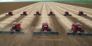 « Sans attendre le Brésil, l’Europe s’est convertie à l’industrie agricole de masse »