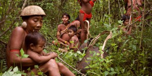 Au Brésil, le territoire des indiens Yanomami mis en péril par l’explosion de l’orpaillage