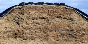 Des millions de pneus usagés vont être retirés des prairies pour préserver la santé des vaches