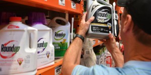Procès Roundup : le montant des dommages dus par Monsanto drastiquement réduit