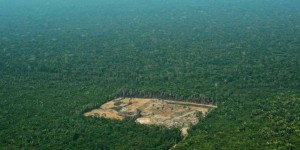 Brésil : la déforestation en juillet en hausse de 278 % par rapport à la même période en 2018