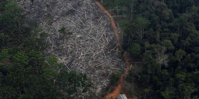 Déforestation : la Norvège retire 30 millions d’euros de subventions au Brésil