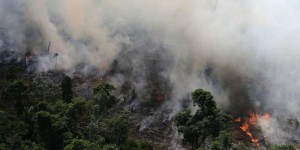 Pourquoi la forêt amazonienne brûle-t-elle ?