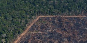 « La forêt amazonienne brûlée par l’industrie de l’élevage »