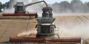 La France engrange une très belle moisson de blé et d’orge