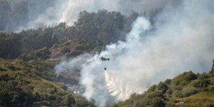 Douze mille hectares brûlés sur l’île de Grande Canarie
