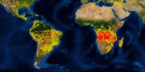 Les incendies en Afrique et en Amazonie sont-ils comparables ?