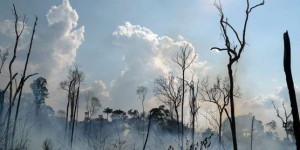 Incendies en Amazonie : le Brésil « ouvert » à une aide financière de l’étranger