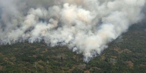 Les incendies en Amazonie provoquent une crise diplomatique entre la France et le Brésil