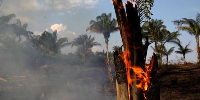 Incendies : l’Amazonie paie la politique de Bolsonaro