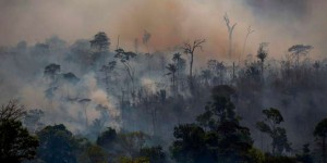 Jair Bolsonaro interdit les brûlis agricoles pour tenter de freiner les incendies en Amazonie
