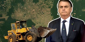 Jair Bolsonaro est-il une menace pour l’Amazonie ?