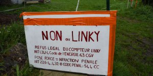L’ex-ministre de l’environnement Corinne Lepage réclame un « moratoire » sur les compteurs Linky