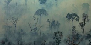 Philippe Descola : « En Amazonie, c’est d’abord le milieu de vie des Amérindiens qui est détruit »