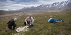 Une saison meurtrière pour les rennes du Svalbard, en Norvège