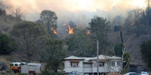 250 000 hectares de brousse incendiés en Australie