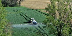 Comprendre le débat autour de l’épandage des pesticides