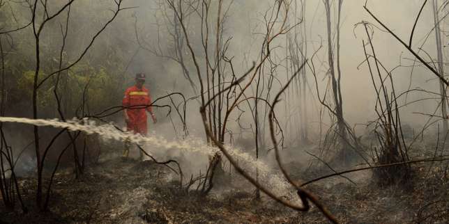 Feux de forêts en Indonésie : le président Joko Widodo reconnaît des « négligences »