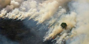 Feux en Indonésie : un nuage de fumée toxique gagne Singapour et la Malaisie