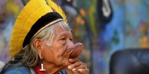 L’Amazonie et son actualité brûlante au cœur du festival Climax à Bordeaux