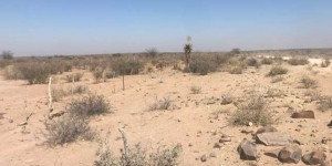 Dans l’est de la Namibie, une sécheresse historique affame hommes et bêtes