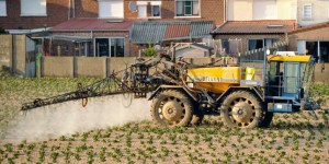 Paris, Lille, Nantes, Grenoble et Clermont-Ferrand interdisent les pesticides sur leur territoire
