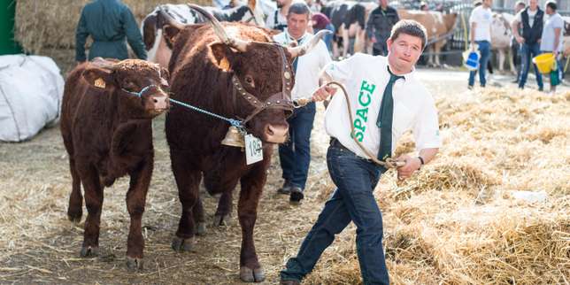 Au salon de l’élevage de Rennes, les éleveurs face aux défis du réchauffement climatique