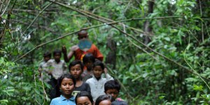 Des Cambodgiens poursuivent le groupe Bolloré en justice pour avoir détruit leur forêt sacrée
