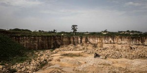 Au Sénégal, une forêt de baobabs sacrifiée sur l’autel de l’industrialisation