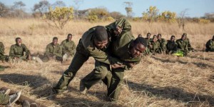 Au Zimbabwe, des « survivantes » contre les braconniers