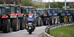 Agribashing : « Les paysans ont perdu la bataille culturelle contre la ville »