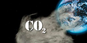 « Le prix du carbone a une place centrale dans la transition environnementale »