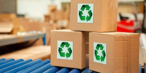 Quiz : savez-vous combien de déchets sont produits et recyclés en France ?