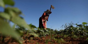 Sylvie Brunel : « En Afrique, l’agriculture moderne laisse de côté les masses paysannes »
