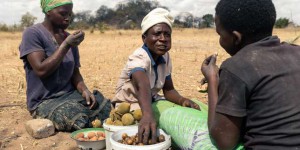 Au Zimbabwe, l’imminence d’une famine « créée par l’homme »