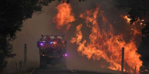 En Australie, des forêts classées au patrimoine mondial de l’Unesco détruites dans des incendies