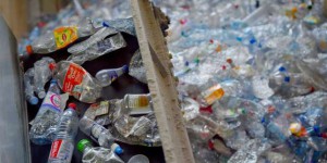 Chasse au plastique, vente en vrac… le Parlement adopte la loi contre le gaspillage
