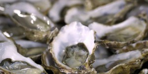 Les eaux usées seraient à l’origine de la gastro-entérite des huîtres en Bretagne