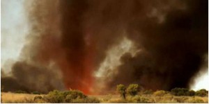 Incendies en Australie : « Le climat continuera à évoluer et les risques de feux vont augmenter »