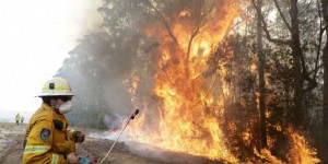 Pourquoi les incendies en Australie sont-ils si vastes et violents cette année ?