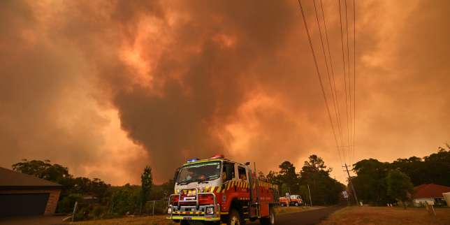 Le manque d’entretien des forêts est-il la cause des incendies en Australie ?