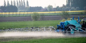 Le recours aux pesticides a connu une hausse spectaculaire en 2018