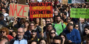 « Agribashing » : un levier d’influence pour une partie du monde agricole