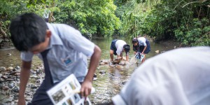 En Amazonie péruvienne, des scientifiques avec la population contre la contamination au mercure