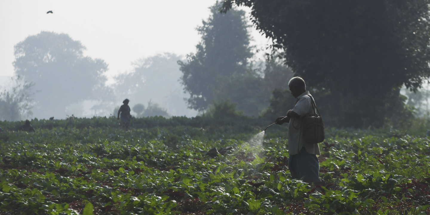 Les chiffres noirs des ventes de pesticides « extrêmement dangereux »